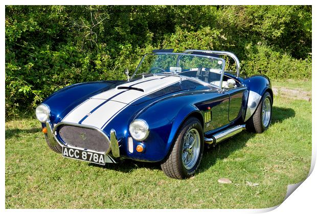 1987 3.5L V8 AC Shelby Cobra 427 Replica  Print by Andrew Harker