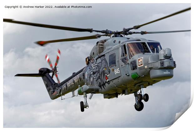 Westland Lynx HMA.8DSP Print by Andrew Harker