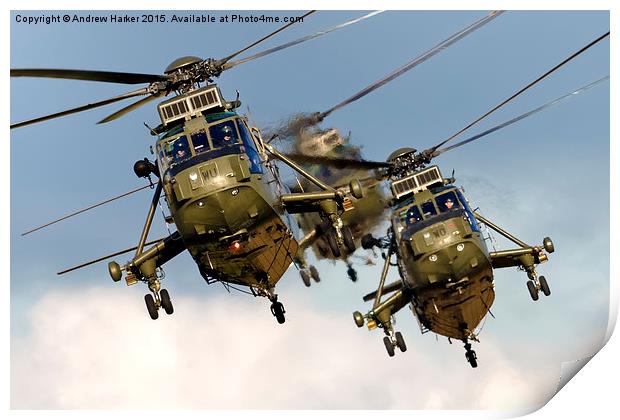 Westland Sea King HC.4 Helicopters  Print by Andrew Harker