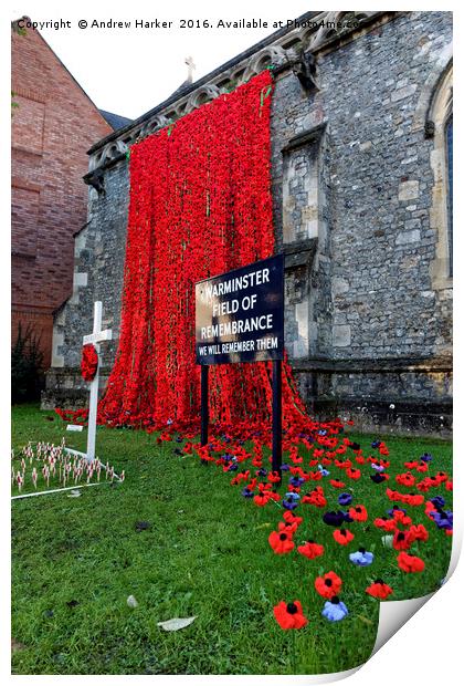Warminster Town Hand-Knitted Poppies Print by Andrew Harker