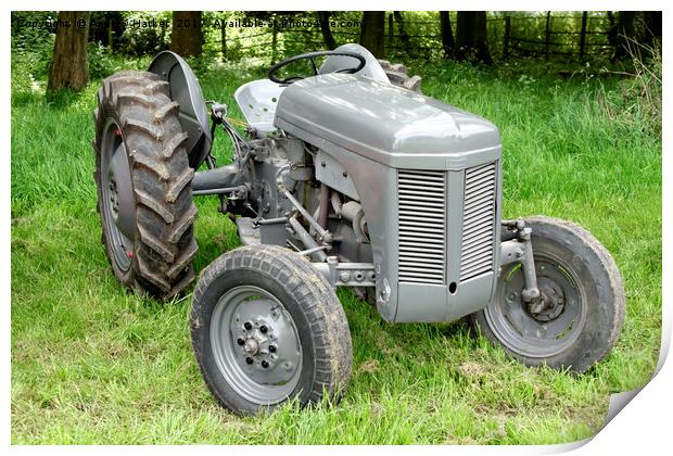 A Vintage Ferguson Tractor Print by Andrew Harker