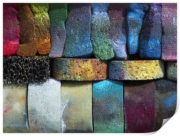Multicolored sponges Print by Harry Hadders