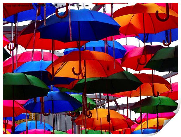  A shower of umbrellas  Print by sylvia scotting