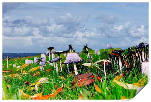  Toadstools  Print by sylvia scotting