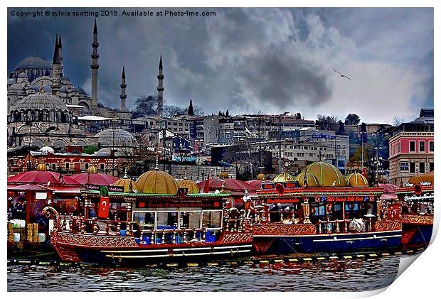  A City to behold. Istanbul . Print by sylvia scotting