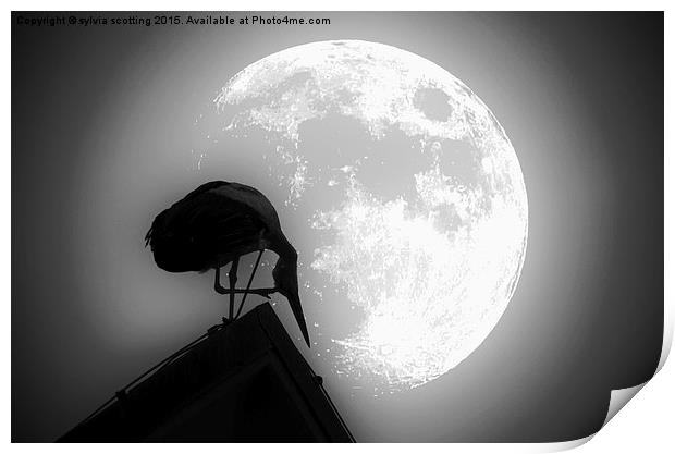  By the light of the moon Print by sylvia scotting