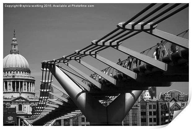  Millennium bridge  Print by sylvia scotting