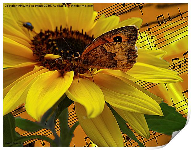The  Butterfly who loved music Print by sylvia scotting