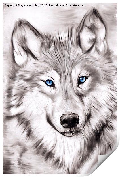  The Wolf Print by sylvia scotting