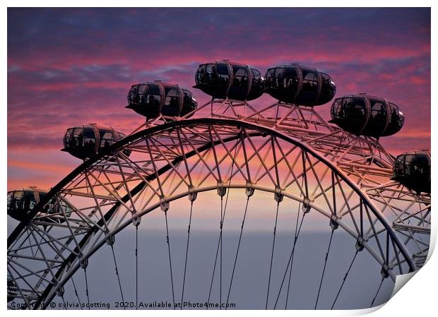  The London eye at sunset                          Print by sylvia scotting