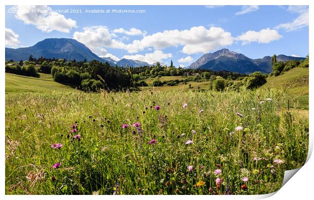 Summer Alpine Flower Meadow Print by Pearl Bucknall