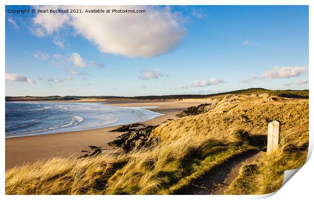 Malltraeth beach from Llanddwyn Anglesey Print by Pearl Bucknall