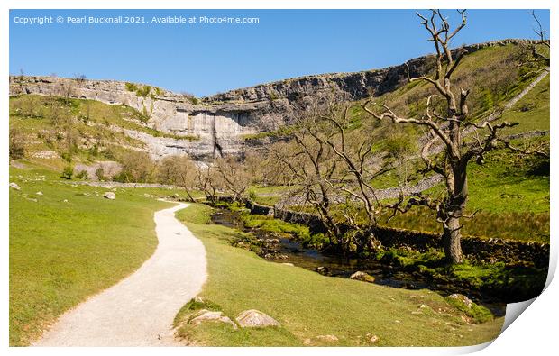 The Pennine Way to Malham Cove Yorkshire Dales Print by Pearl Bucknall