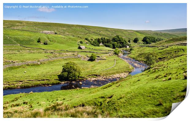  Upper Swaledale Countryside Yorkshire Dales Print by Pearl Bucknall