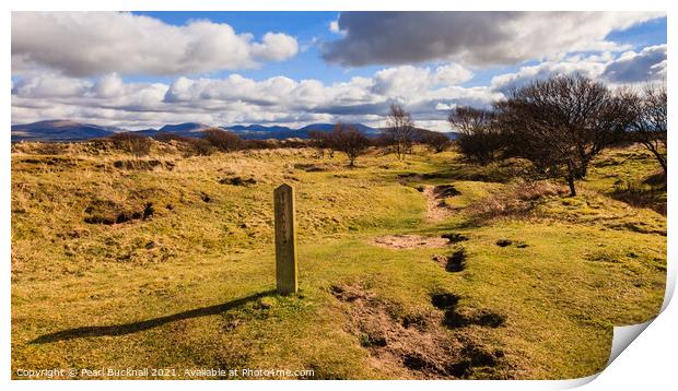 Sign on Path at Newborough Warren Anglesey Print by Pearl Bucknall