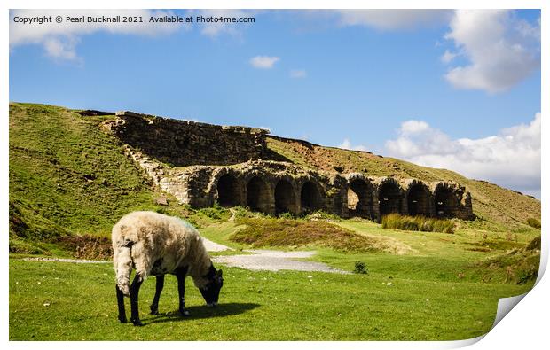 Sheep Grazing Rosedale Yorkshire Moors Print by Pearl Bucknall