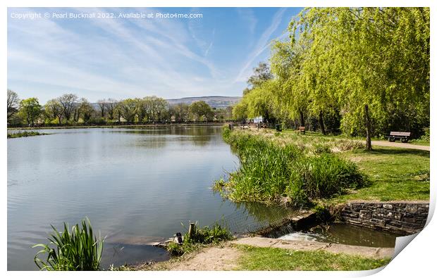 Cwmbran Boating Lake Wales Print by Pearl Bucknall