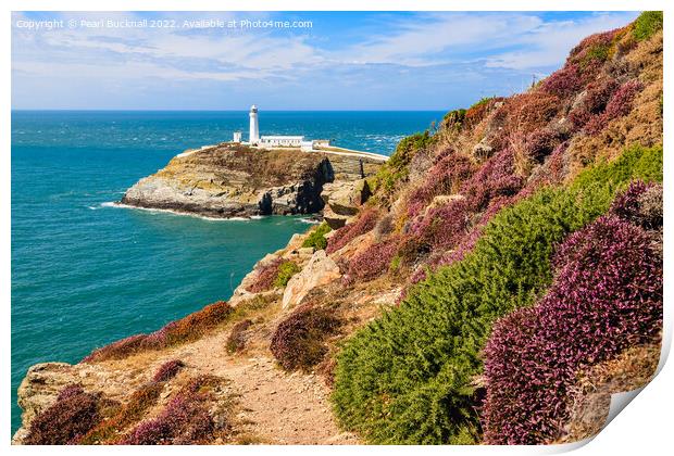 South Stack Anglesey Wales Outdoor Print by Pearl Bucknall