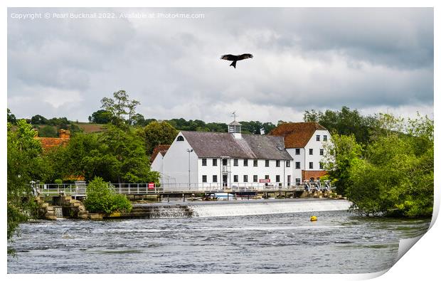 Red Kite over Hambleden Mill Buckinghamshire Berks Print by Pearl Bucknall