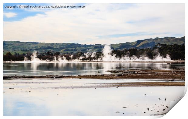 Lake Rotorua New Zealand Print by Pearl Bucknall