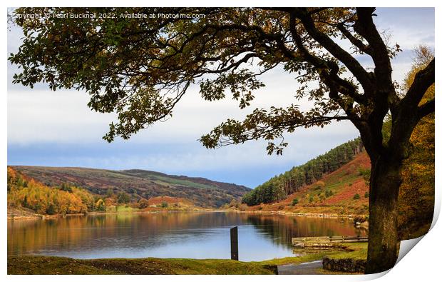 Llyn Geirionydd Lake in Autumn Snowdonia Print by Pearl Bucknall