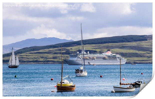 Cruise Ship Tobermory Mull Scotland Print by Pearl Bucknall