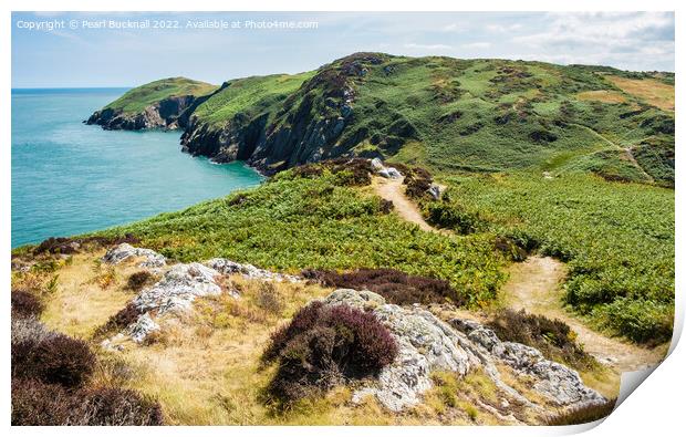 Coast Path Anglesey Wales Print by Pearl Bucknall