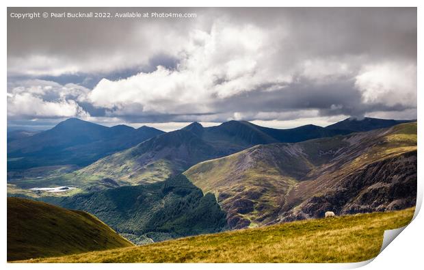 Nantlle Ridge View from Moel Eilio in Snowdonia Print by Pearl Bucknall