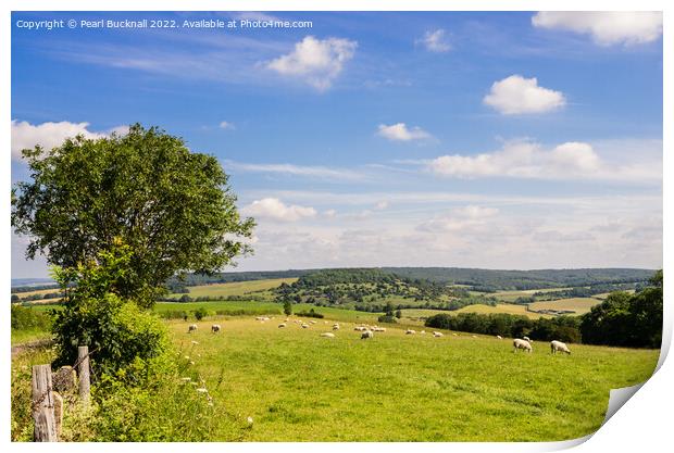 Country Scene South Downs Sussex Print by Pearl Bucknall