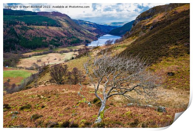 Above Llyn Crafnant in Snowdonia Print by Pearl Bucknall