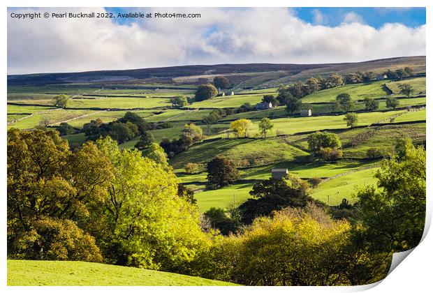 Scenic Swaledale Yorkshire Dales Print by Pearl Bucknall