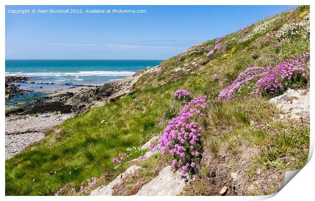 Summer Flowers at Cable Bay Anglesey Coast Print by Pearl Bucknall