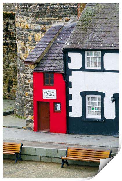Smallest House Conwy Quay Wales Print by Pearl Bucknall