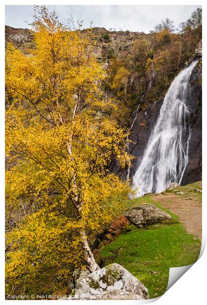 Autumn at Aber Falls Waterfall Snowdonia Print by Pearl Bucknall