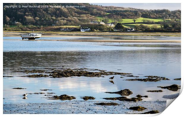 Feeding in the Shallows Red Wharf Bay Anglesey Print by Pearl Bucknall