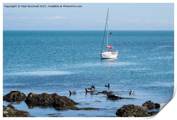 Bardsey Island Seascape Wales Coast Print by Pearl Bucknall