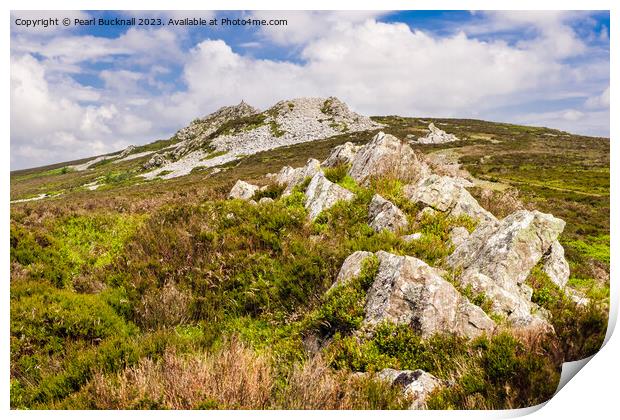 Stiperstones Shropshire Hills Landscape Print by Pearl Bucknall