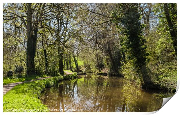 Serenity on Monmouthshire and Brecon Canal Print by Pearl Bucknall