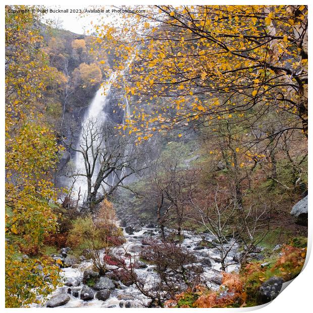 Aber Falls or Rhaeadr Fawr Waterfall in Autumn Print by Pearl Bucknall
