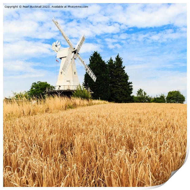 Barley and Woodchurch Windmill in Kent Countryside Print by Pearl Bucknall