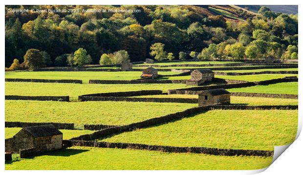 Swaledale Barns Yorkshire Dales Countryside pano Print by Pearl Bucknall