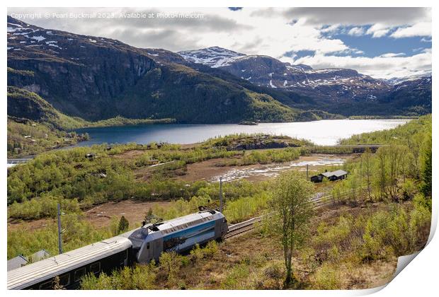 Flam Scenic Railway Norway Print by Pearl Bucknall
