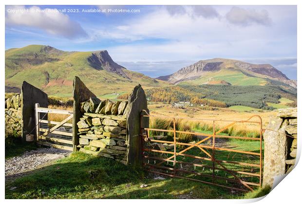 Gates on Mountain Path Print by Pearl Bucknall