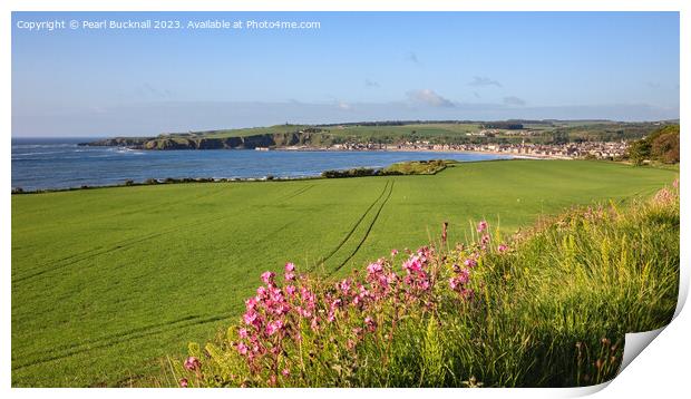 Across the Fields to Stonehaven Aberdeenshire pano Print by Pearl Bucknall
