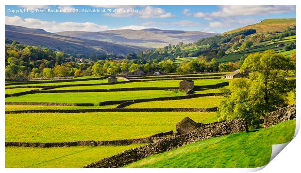 Swaledale Yorkshire Dales English Countryside pano Print by Pearl Bucknall