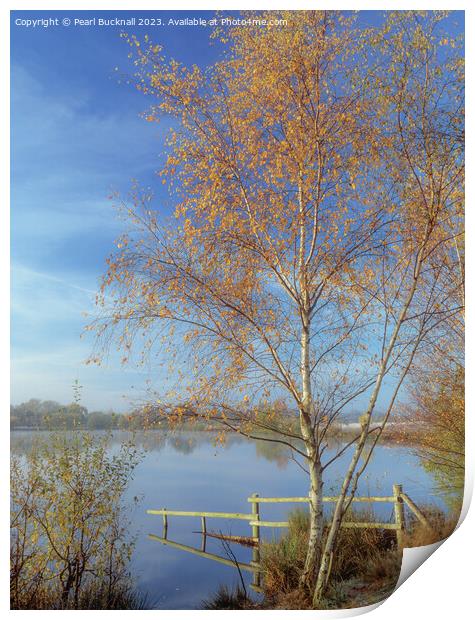 Tranquil Berkshire Countryside Lake Print by Pearl Bucknall