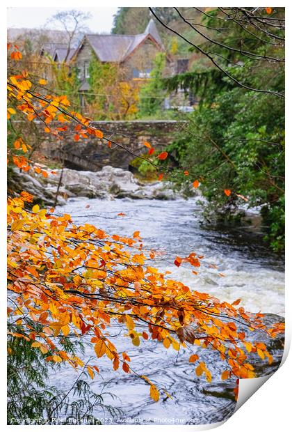 Autumnal Afon Llugwy River in Betws-y-Coed Print by Pearl Bucknall
