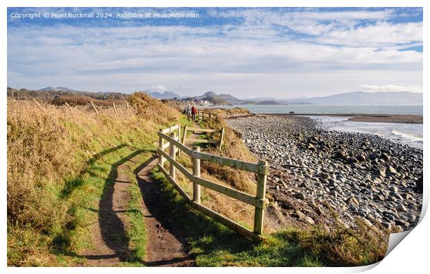 Wales Coastal Path Llyn Peninsula Welsh Coast Print by Pearl Bucknall