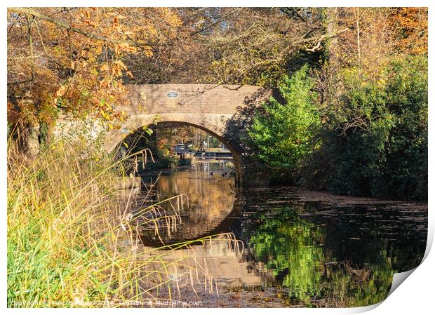 Basingstoke Canal in Autumn Print by Pearl Bucknall