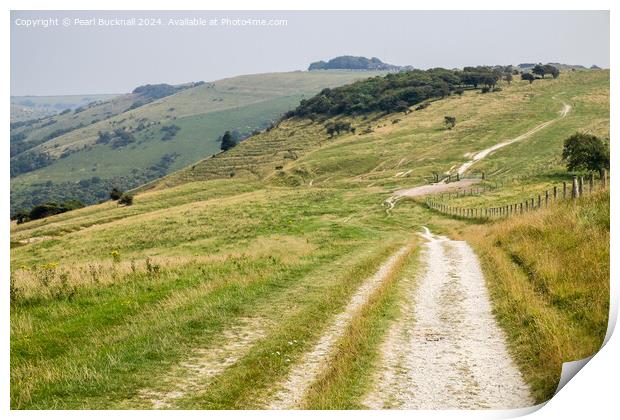 South Downs Way to Devils Dyke West Sussex Print by Pearl Bucknall
